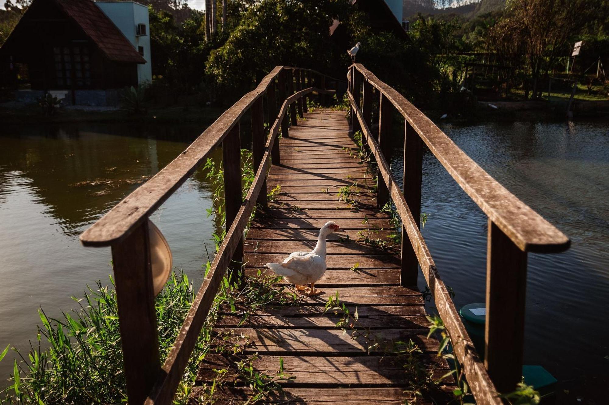 Pousada Sestrem - Sao Joao Batista - Sc Exterior photo